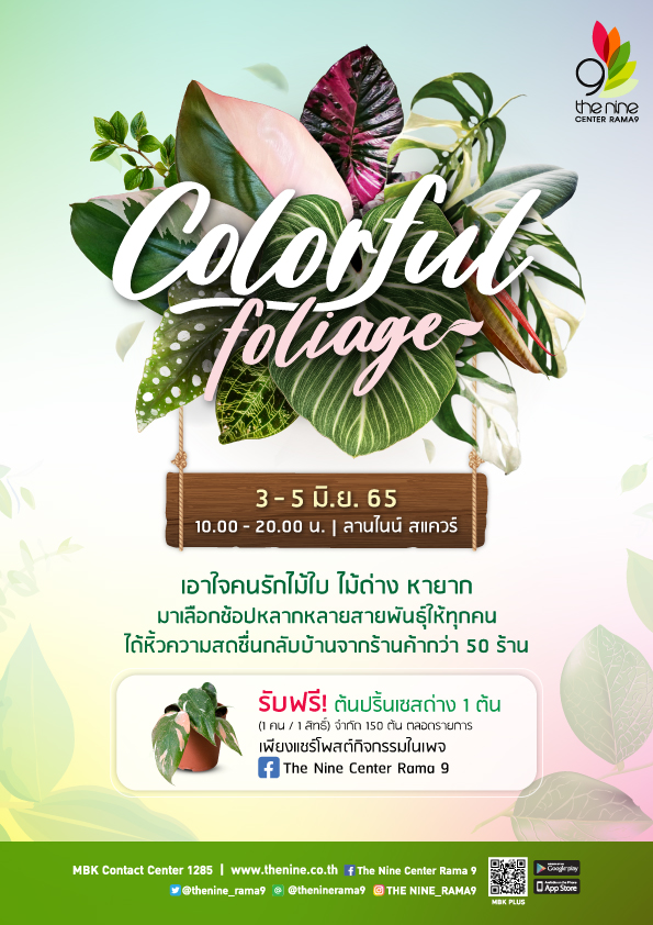 เอาใจคนรักไม้ใบ ไม้ด่าง ชวนมาเลือกช้อปไม้ด่างในงาน Colorful Foliage