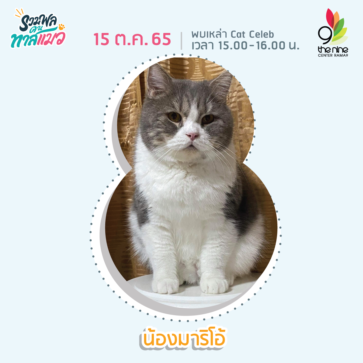 งานรวมพลคนทาสแมว เหล่าทาสแมวได้เวลามารวมตัวกันที่ Cat Cafe พาฟินกับเจ้าเหมียวเซเ