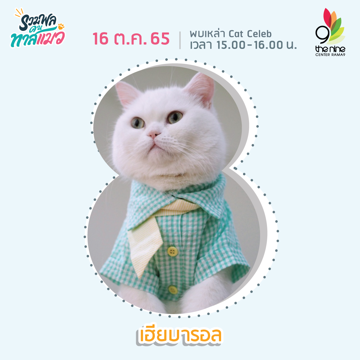 งานรวมพลคนทาสแมว เหล่าทาสแมวได้เวลามารวมตัวกันที่ Cat Cafe พาฟินกับเจ้าเหมียวเซเ