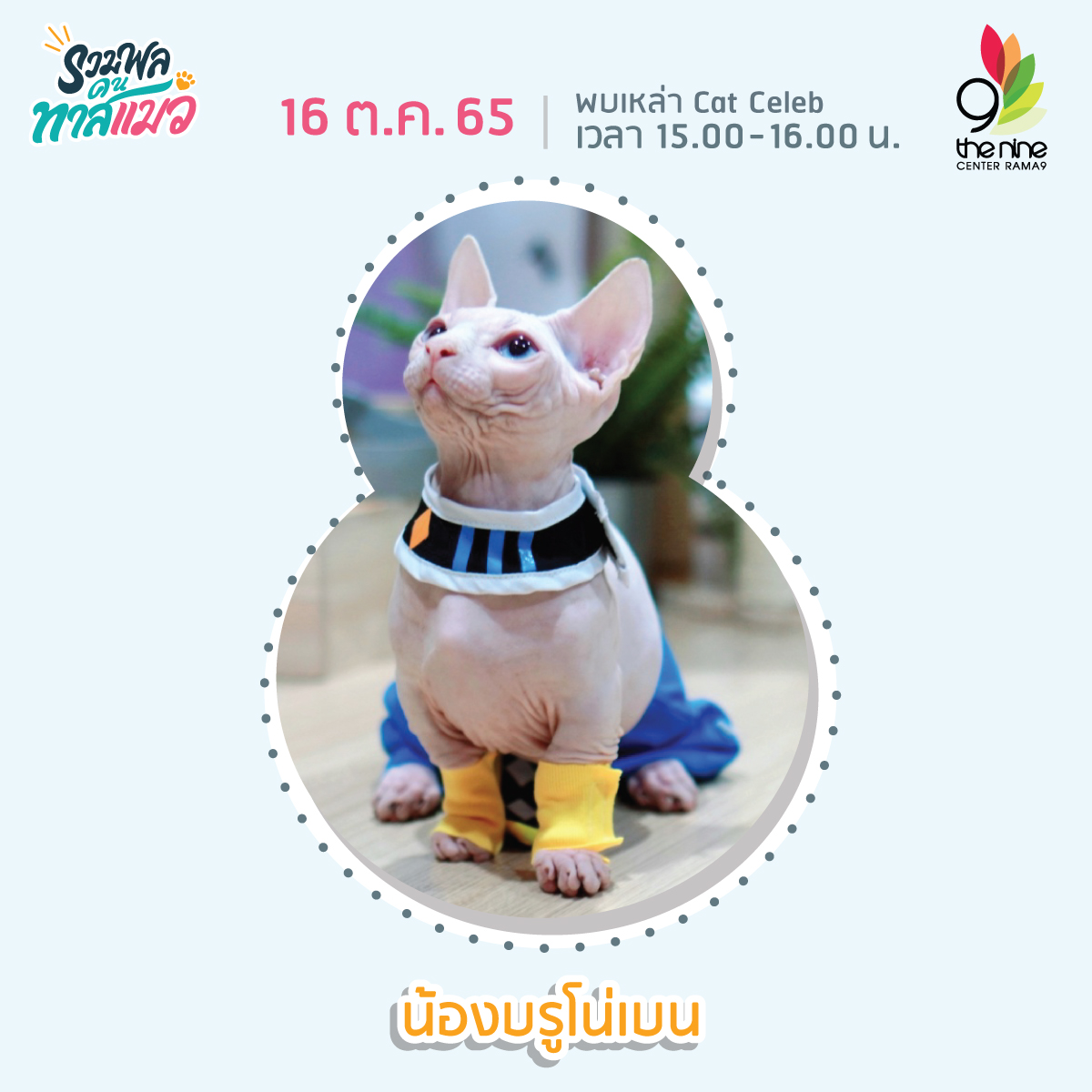 งานรวมพลคนทาสแมว เหล่าทาสแมวได้เวลามารวมตัวกันที่ Cat Cafe พาฟินกับเจ้าเหมียวเซเ