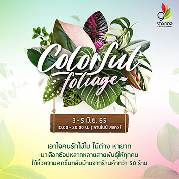 เอาใจคนรักไม้ใบ ไม้ด่าง ชวนมาเลือกช้อปไม้ด่างในงาน Colorful Foliage