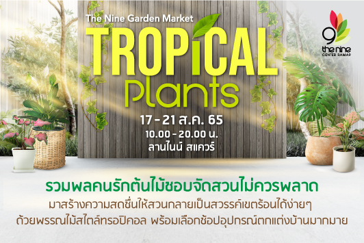 The Nine Garden Market Tropical Plants มาร่วมสร้างความสดชื่นให้สวนกลายเป็นสวรรค์เขตร้อนได้ง่าย ๆ ด้วยพรรณไม้สไตล์ทรอปิคอล