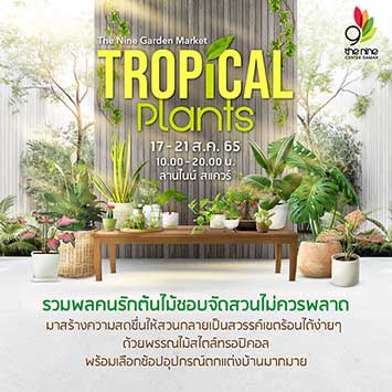 The Nine Garden Market Tropical Plants มาร่วมสร้างความสดชื่นให้สวนกลายเป็นสวรรค์เขตร้อนได้ง่าย ๆ ด้วยพรรณไม้สไตล์ทรอปิคอล