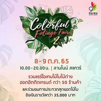 Colorful Foliage Fair #2 รวมแรร์ไอเทมไม้ใบไม้ด่างฮอตฮิตติดเทรนด์ กว่า 50 ร้านค้า