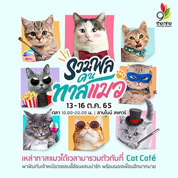 งานรวมพลคนทาสแมว เหล่าทาสแมวได้เวลามารวมตัวกันที่ Cat Cafe พาฟินกับเจ้าเหมียวเซเลบขี้อ้อนแสนน่ารัก พร้อมผองเพื่อนอีกมากมาย