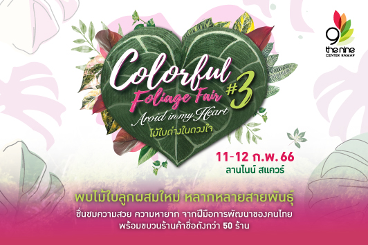 เอาใจคนรักไม้ใบ ไม้ด่าง ชวนมาเลือกช้อปไม้ใบในงาน Colorful Foliage Fair ครั้งที่ 3