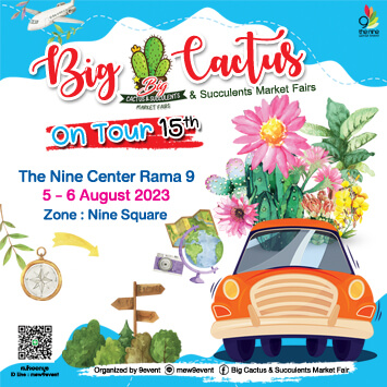 ชวนมาเที่ยวงานแฟร์ Big Cactus & Succulent Market Fair ครั้งที่ 15 รวมพลคนอยากปล่อยของ!