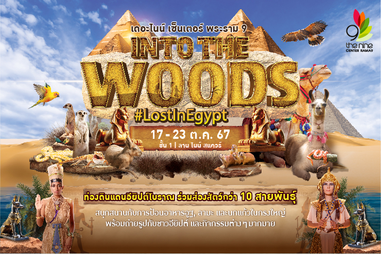 Into the woods #LostInEgypt ไขปริศนาในดินแดนอียิปต์โบราณ